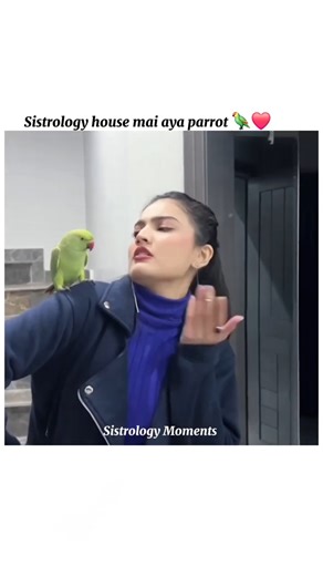 Sistrology house mai aya parrot 🦜❤️#sistrology