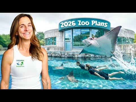 Huge Changes Coming in 2026 (BIG NEWS)