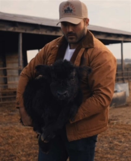 Mini highland #4 was born this morning - and is a gorgeous smoky/charcoal heifer! While working on latching with momma, momma backed up and stepped onto baby’s shoulder - so we took it to the vet for precautionary x-rays 😭 Thankfully - no broken bones and no damage … baby will just be sore for a few days so we’ll keep her separated and bottle feed her until she’s feeling 100% We’re loving these minis! It’s been so cool seeing how unique each one is!