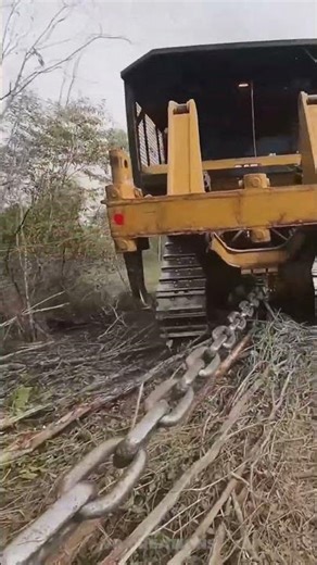 Two Bulldozers + Massive Chain, Bulldozer Chaining Technique #shorts #BulldozerChaining