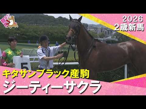 【関西一番星は衝撃Ｖ】阪神２歳戦史上最速の上がりでジーティーサクラが勝利！北村友一騎手「非常にいい内容」2026年6月6日(土)２歳新馬 阪神芝1600m 実況：川島壮雄【カンテレ公式】