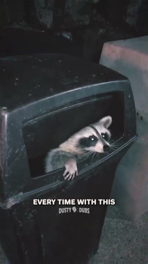Raccoon Gets Evicted 🦝🗑️