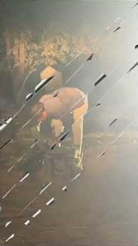 Palm civet cat emergency rescue at midnight #wildliferescue #civetcatrescue #wildcatrescue#snakes