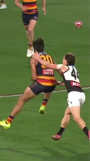 REMEMBER THE NAME 👨‍🍳 #afl #footy #adelaidecrows