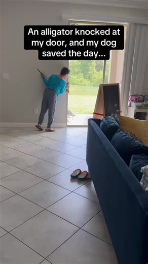 Alligator's Hilarious Escape From Dog Encounter