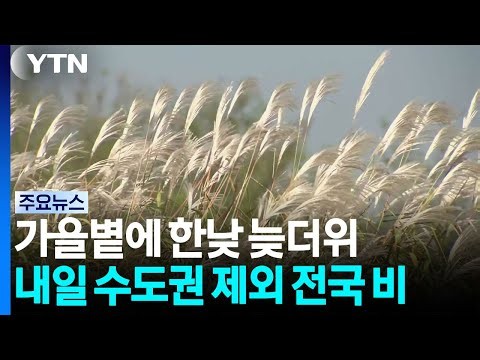 [날씨] 가을볕에 한낮 뜨거워...내일 수도권 제외 전국 '가을비' / YTN