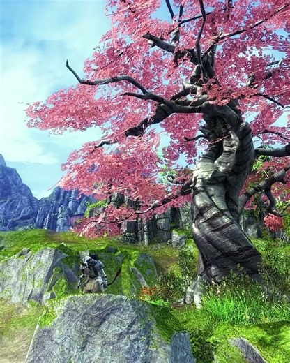caturday in seitung province 🎮 guild wars 2 end of dragons
