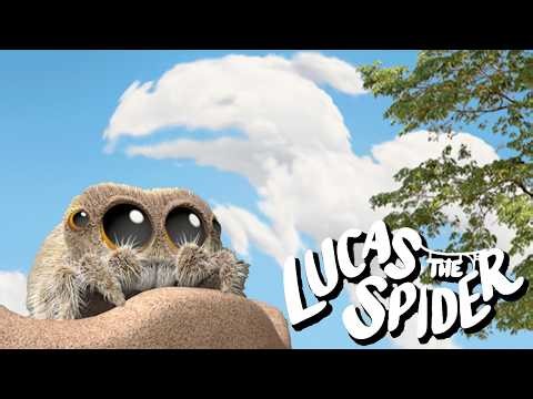 Lucas the Spider vs The CLOUD DRAGON 🐉 + More Cartoons for Kids