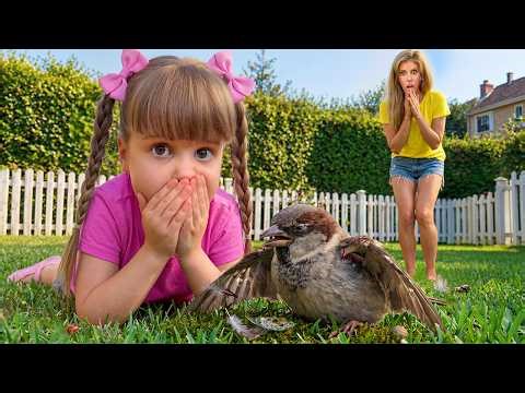 We Found a Bird That Can’t Fly