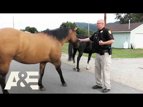 Live PD: Greatest Shifts — Deputies Become Horse Wranglers | A&E