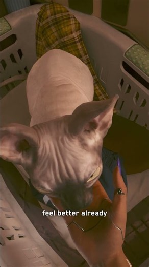 Happy International Cat Day to all the amazing feline companions! 🐱 #cyberpunk2077 #cat