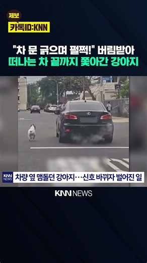 "자신 버린 줄도 모르고 끝까지…" 도로 위 차 따라 달리던 강아지 / KNN