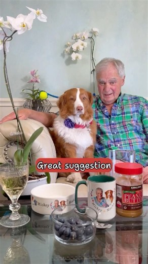 Great suggestion
