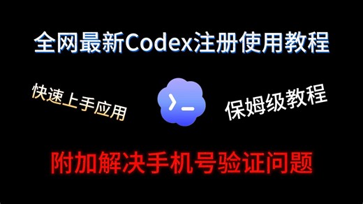 全网最新最细的Codex注册使用教程！内含手机号验证方法，手把手教会你！