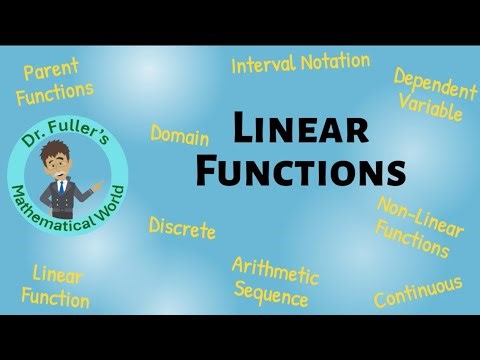 Essential Vocabulary for 9th Grade Math Success | Learn Key Linear Function Terms