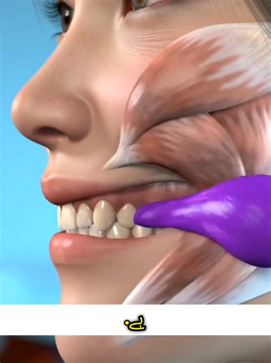 What Happens If You Chew Gum Daily? 🤔