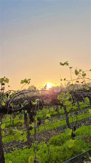 Motivational Quotes for Work Success in Stockton