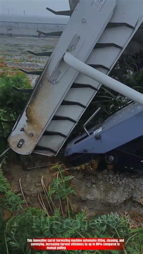 Innovative Carrot Harvesting Machine System: Best Efficient Root Crop Handling