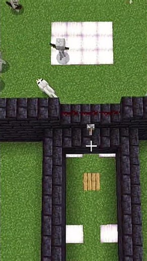 2 Wolves vs 10 Skeletons Battle – Unexpected Winner! 🐺⚔️ #minecraft