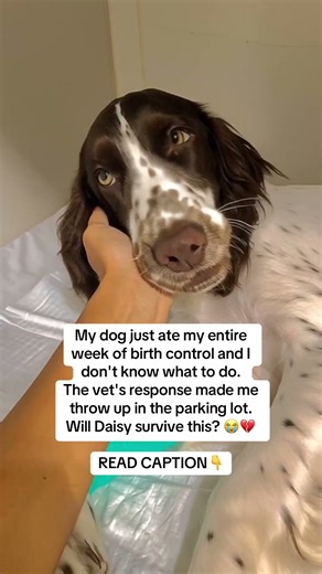 READ CAPTION 👇🏻