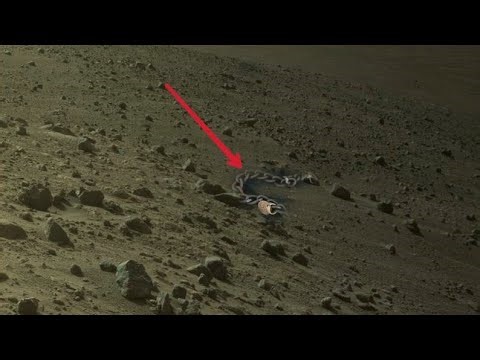 Mars perseverance Rover Captured a New 4k Stunning Video Footage of Mars Surface||