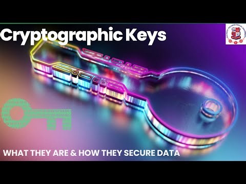 Cryptographic Keys: What They Are & How They Secure Data