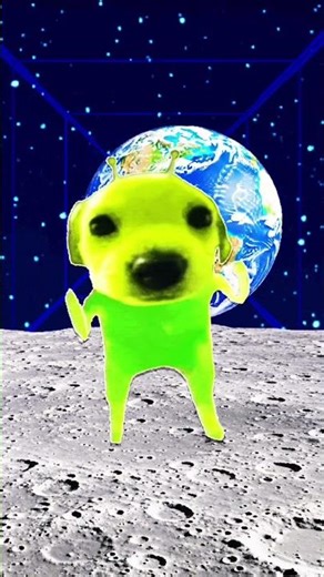 Im not that innocent #alien #funny #memes