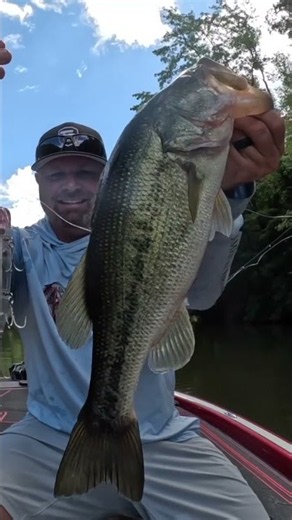 💥 This Subtle Spot Holds Big Bass 💥