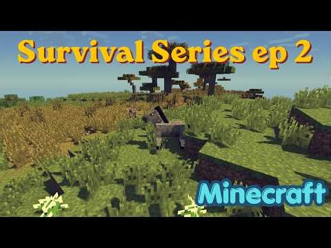 Minecraft survival series | ep 2