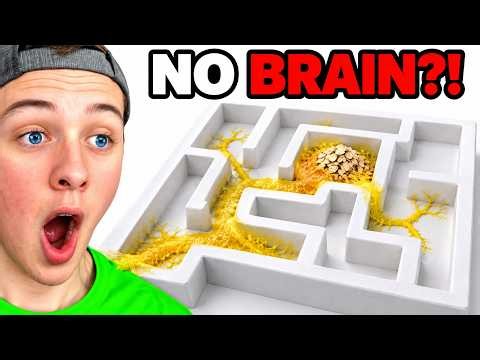 Alien Fungus vs. Obstacles