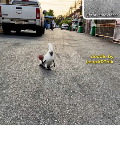 🏀🏀🏀 Basketball Playa 🏀🏀🏀 #throwback #leopartnik Background video source: IG - cockatoo.casper Animation: #LeopARTnik