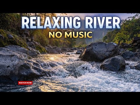Powerful River & Distant Waterfall Sounds under a Volcanic Sunset
