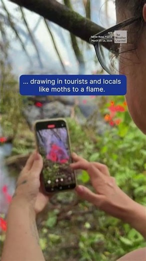 Lava Flows To Ocean For First Time In 19 Years