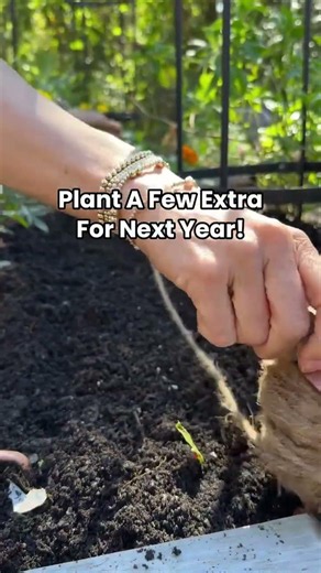Comment GARLIC to get my full guide!Here’s how to plant garlic in 5 easy steps: #gardentips