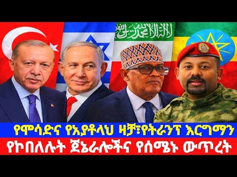 የኮበለሉት የትግራይ የጦር ጀኔራሎችና የሰሜኑ ውጥረት| ፋኖ፣TDF ፣ሻእቢያ፣ጉምዝ ለምን ተጣመሩ?