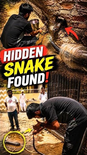 DANGEROUS RESCUE! 😱 🐍