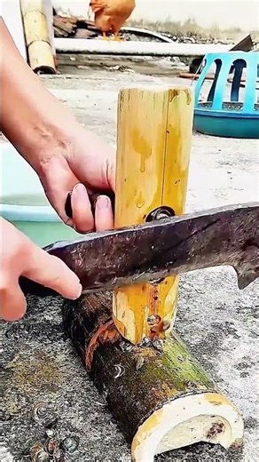 Removal process of snail tail using creative tools