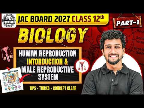 नर जनन तंत्र | Human Reproduction Male Reproductive System | Class 12 Biology Chapter 2 | JAC Board
