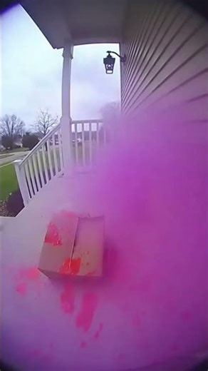 Viral Porch Pirates Caught Explosion #porchpiratepaintbomb #porchpiratesexplosion #packagetheft