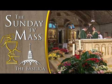 The Sunday Mass - 15th Sunday in Ordinary Time - July 12 2026