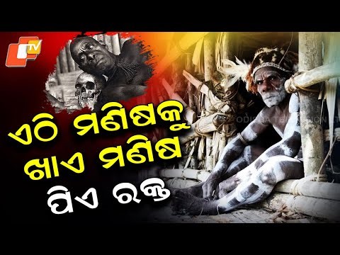 Special Story: The Asmat Tribe: A Chilling Legacy of Ritual Cannibalism in Indonesia