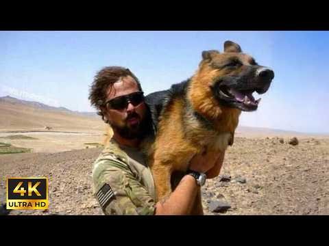 When Police Dogs and Their Partners Are the Perfect Duo 🐶👮