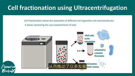 细胞分级分离 / 细胞组分分离