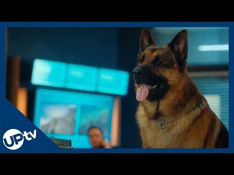 Hudson & Rex - Painted Into a Corner | Episode 810 Sneak Peek