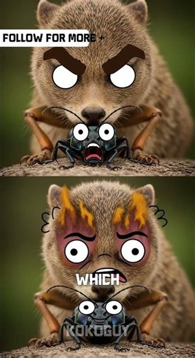 Bombardier Beetle: The Insect That Shoots Boiling Chemicals! 🔥🐞