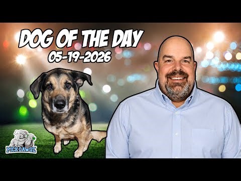 NBA Free Picks and Predictions for Today 5/19/2026| Dawg of the Day