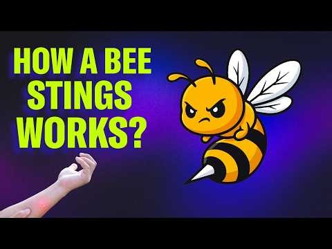 Bee stingers, plastic risks and ovarian surprises | Science Quickly Podcast
