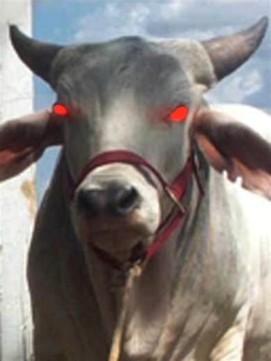 Exploring Ways to Bring Dead Pets Back to Life