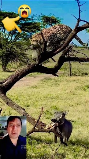 पापी रहेछ यो भाग 😭😭😭😭#shorts #trending #youtubeshorts#funny #shortvideo #short #nepali#nepalivideo