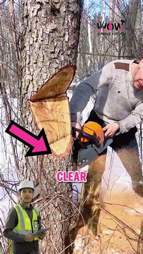 This Cut Drops Trees Exactly Where You Want